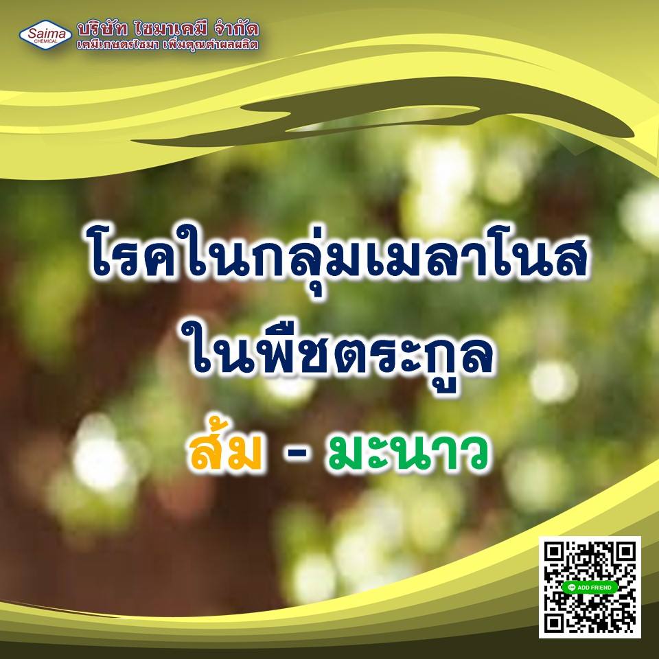 โรคในกลุ่มเมลาโนส