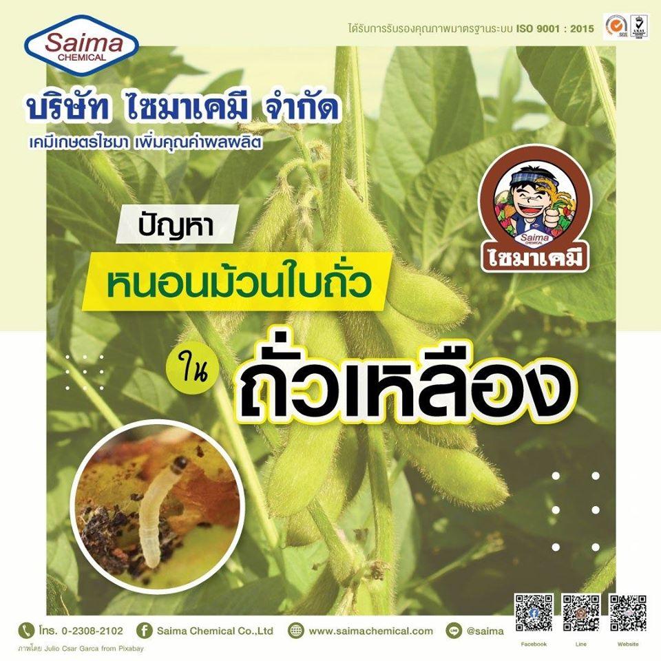 ปัญหา 