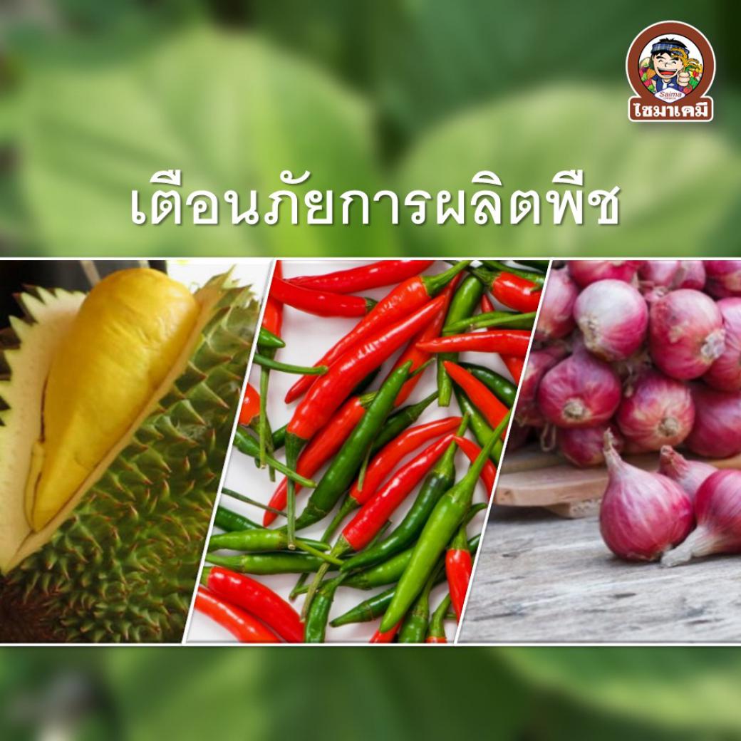 กรมวิชาการเกษตรแจ้งเตือนภัย 