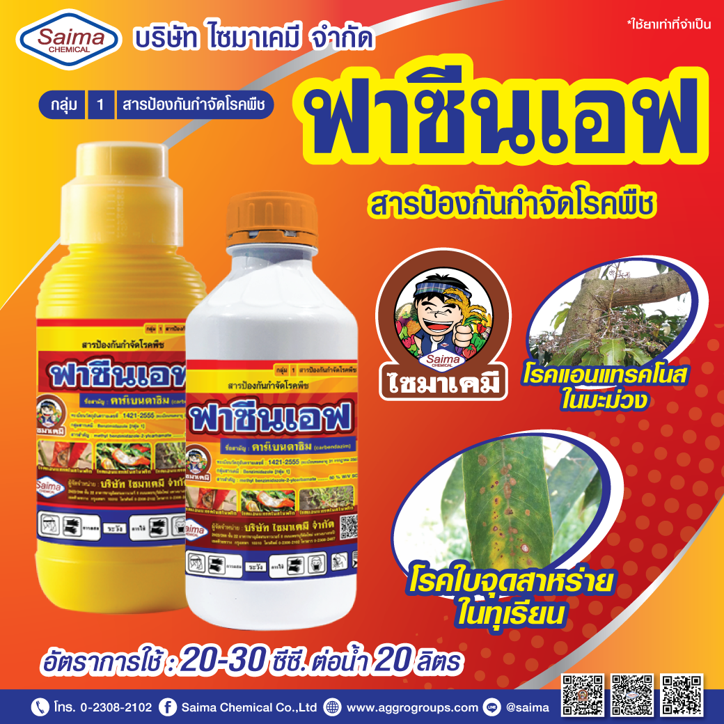 My Image 12