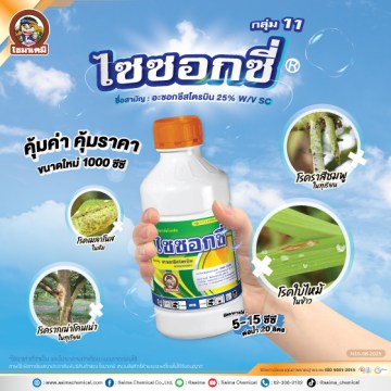 ไซซอกซี่