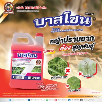 บาสโซน