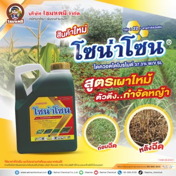 โซน่าโซน