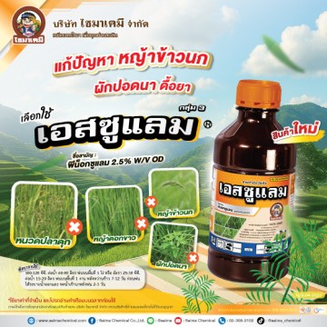 โซน่าโซน