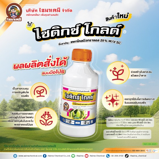 ไซดิกซ์10