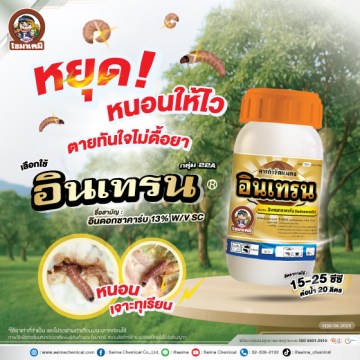 อินเทรน