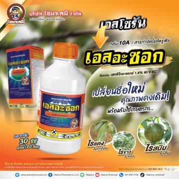 เอสอะซอก