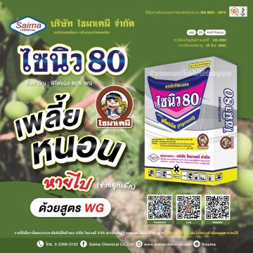 ไซนิว80