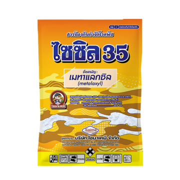 ไซซิล35