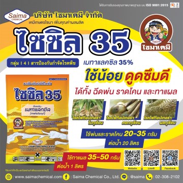 ไซซิล35