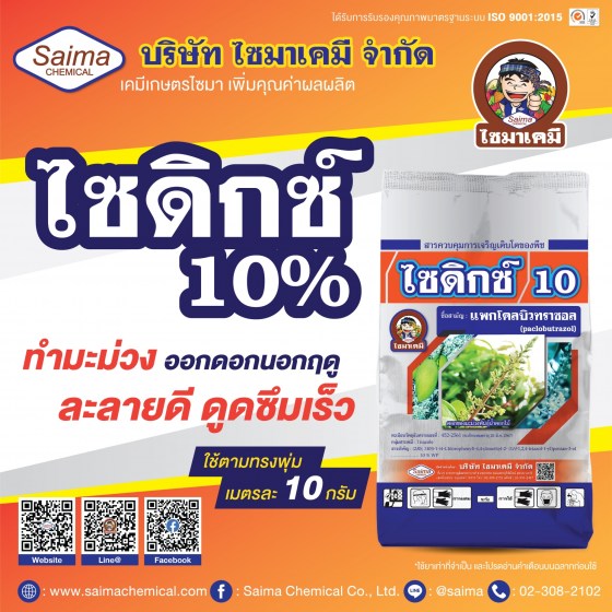 ไซดิกซ์10